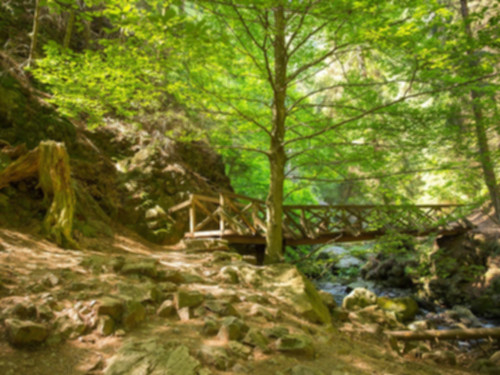 Ravennaschlucht