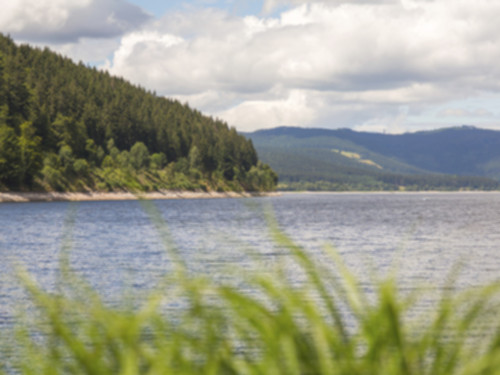 Der Schluchsee, größter See im Schwarzwald