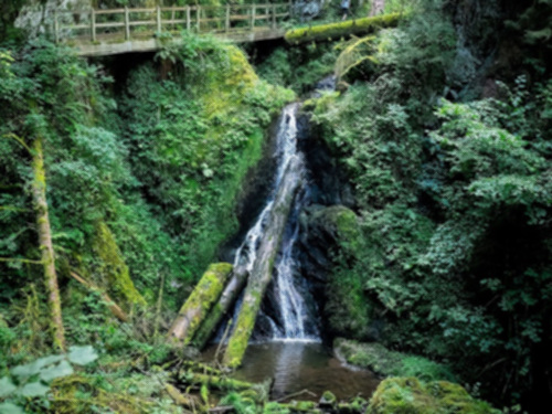 Wutachschlucht, Naturwunder des Schwarzwald