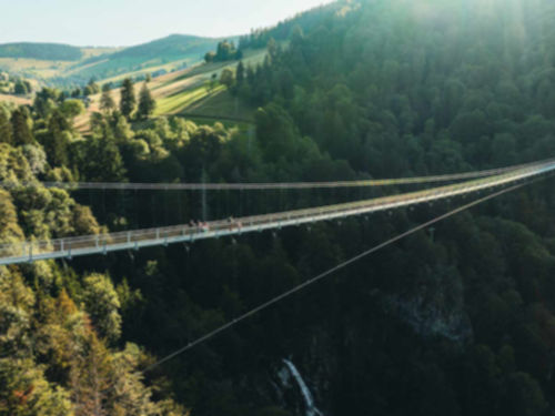 Hängebrücke Blackforestline Todtnau