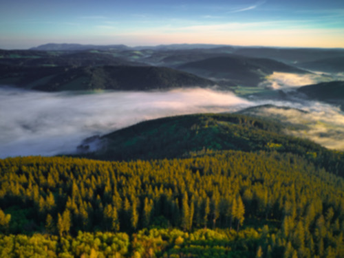 Der Feldberg, höchster Berg im Schwarzwald